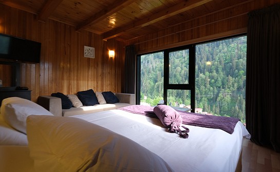 Şelale Manzaralı Çift Kişilik Standart Oda